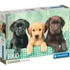 Image de Puzzle CLE 1000 Compact Trois Laboratoires 39946