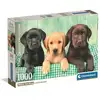 Image de CLEMENTONI - Compact 1000 pieces - Three Labs - Neuf