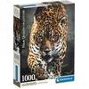 Image de CLEMENTONI - Compact 1000 pièces - Promenade du Jaguar