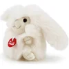 Image de Charms, Charmes à suspendre Lapin