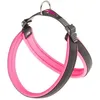 Image de Agila Fluo 3-9 Harnais Ergonomique Pour Chiens Avec Rembourrage Moelleux. Fermeture Avec Cordonnet.. Variante 4 - Misure: A=b 44-52 Cm 20 Mm - Fuchsia - Ferplast