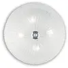 Image de Amber SHELL plafonnier 4 ampoules