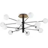 Image de Plafonnier Industrial-Minimal Cosmopolitan Metal Black 12 Lights G9 3W 3000K