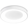 Image de Plafonnier contemporain Planet Metal Blanc Led Intégré 22W 3000K Ip20