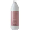 Image de FARMAVITA Améthyste Chroma Color Protective Shampoo 1000ML