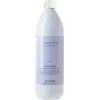 Image de Farmavita Améthyst Cool Blonde Silver Shampooing 1000ML