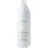 Image de Farmavita Améthyste Nutri Repair Shampooing 1000ML