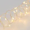 Image de Guirlande Lumineuse Argentee 400 Microleds Blanc Chaud Lotti 42161083 42161083 42161083 42161083 42161083 42161083 42161083 42161083 42161083 42161083 42161083 42161083 42161083