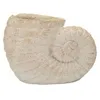 Image de Vase En Sable Coquillage -a- Cm 33x19x23 (trou Cm Ø 13)