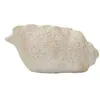 Image de Vase En Coquillage Et Sable -b- Cm 35x23x18 (trou Cm Ø 17x14)