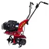 Image de Motobineuse Thermique 125 Cc Z2 M.ar