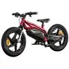 Image de Mini moto elec DUCATI enfant / moteur 250W Pneu 16'' / 16kmh max 15.5kg Batt 21.6V/5.2Ah 112W Ecran Clignotant Charge max 45kg Frein Tambour - Neuf