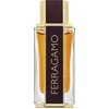 Image de Salvatore Ferragamo Spicy Leather Special Edition eau de parfum pour homme 100 ml