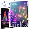 Image de Guirlande Twinkly Strings