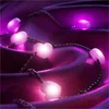 Image de Twinkly Strings USB-C Hearts Guirlande lumineuse intelligente Wi-Fi/Bluetooth