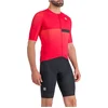 Image de Maillot de cyclisme à manches courtes SPORTFUL - BOMBER - Rose M