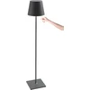 Image de Lampe LED Poldina Pro XXL Gris Foncé rechargeable et dimmable 150cm avec batterie jusqu'à 12 heures