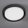 Image de Alu Applique et Plafonnier à LED Gris Foncé 30W 3000K IP54, Design Moderne Circulaire avec Diffuseur en Polycarbonate Opalin Satiné