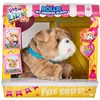 Image de Petits animaux de compagnie - Un bisou de Rollie