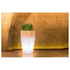 Image de Pot Lumineux Carré Mod. Agave 33x33 Cm H 70 Avec Led Multicolor Avec Batterie