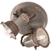 Image de Ferroluce Loft Projecteur de plafond 2 flammes rose