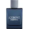 Image de Iceberg Homme Edt Spray 100ml