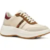 Image de Geox Spherica Ecub-3 Chaussures de sport Beige EU 37 Femme Beige EU 37