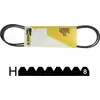 Image de Universeel - Poly-V 1920 H8 Elastischer String - 481281718177