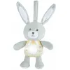 Image de Chicco First Dreams 00011129000000 peluche