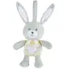 Image de Chicco First Dreams 00011129000000 peluche - Neuf