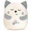Image de Chicco Classic 00011567000000 peluche - Neuf