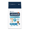 Image de Avance Mini Adulte