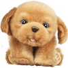 Image de Little Live Pets Famosa 700013210 - Chiot endormi, version espagnole FAMOSA