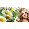 Image de Camomila Blonde Highlights Conditioner 250ml