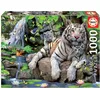 Image de Educa Borras Puzzle 1000 elementów - Biae Tygrysy Bengalskie