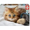 Image de Educa - Chaton 200 pièces puzzle