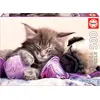Image de Puzzle 500 pièces Dream Companion 17644