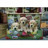 Image de Educa - Chiens dans la valise 500 pièces puzzle