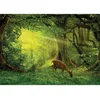 Image de Educa 17958 Little Deer 500 pièces puzzle