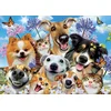 Image de Educa 17983 Chiens et chats Selfie 500 pièces puzzle