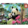Image de Puzzle 1000 pièces Morning Panda 17995