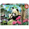 Image de Puzzle 1000 pièces - Magnifiques Pandas à assembler - Neuf