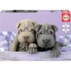 Image de Educa 18063, Chiots le matin, puzzle de 100 pièces pour enfants à partir de 6 ans, Shar-Pei, puzzle animalier