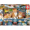 Image de Educa - Chats dans la valise 200 pièces puzzle