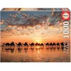 Image de Educa 18492 Coucher de soleil chameaux 1000 pièces puzzle