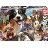 Image de Puzzle Educa 500 Pièces Animaux Amis De La Cour De Récréation