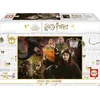 Image de Puzzle 1000 pièces miniature Harry Potter Educa 19491