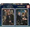 Image de Puzzle 2x500 pièces Fantastic Beasts Educa 19492