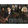 Image de Puzzle 1000 pièces Fantastic Beasts Educa 19493