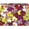 Image de puzzle de 1000 pièces - COLLAGE D'ORCHIDES - EDUCA - Nature morte et objets - Mixte - Espagne